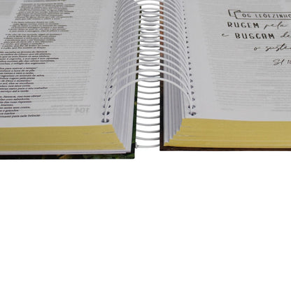Holy Bible Journey | Lion (NA083JR)