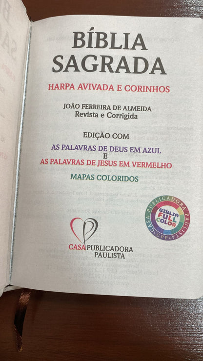 BÍBLIA MELISSA - PRATA 15x22