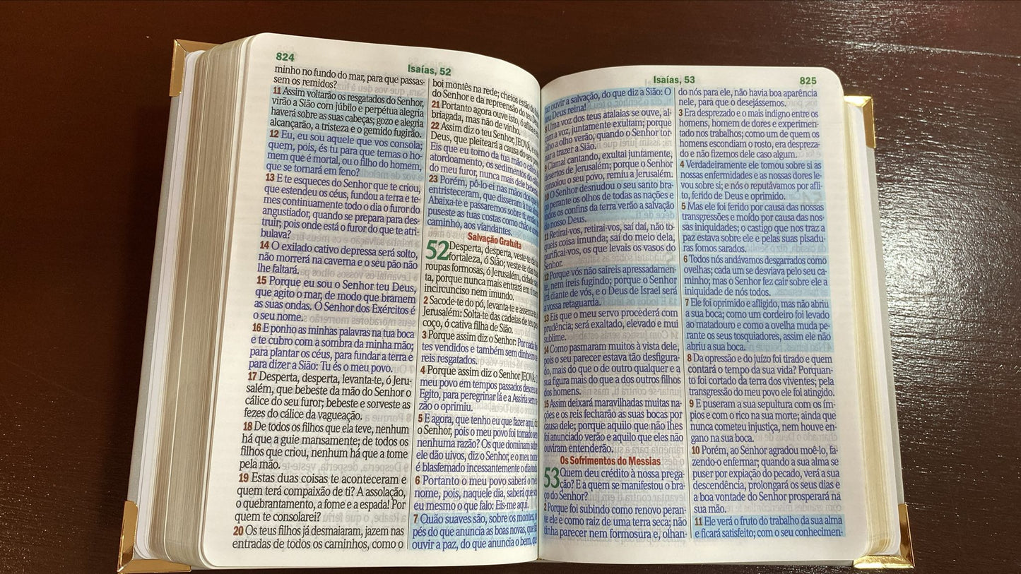 BÍBLIA DE LUXO JAMILLE 15X21