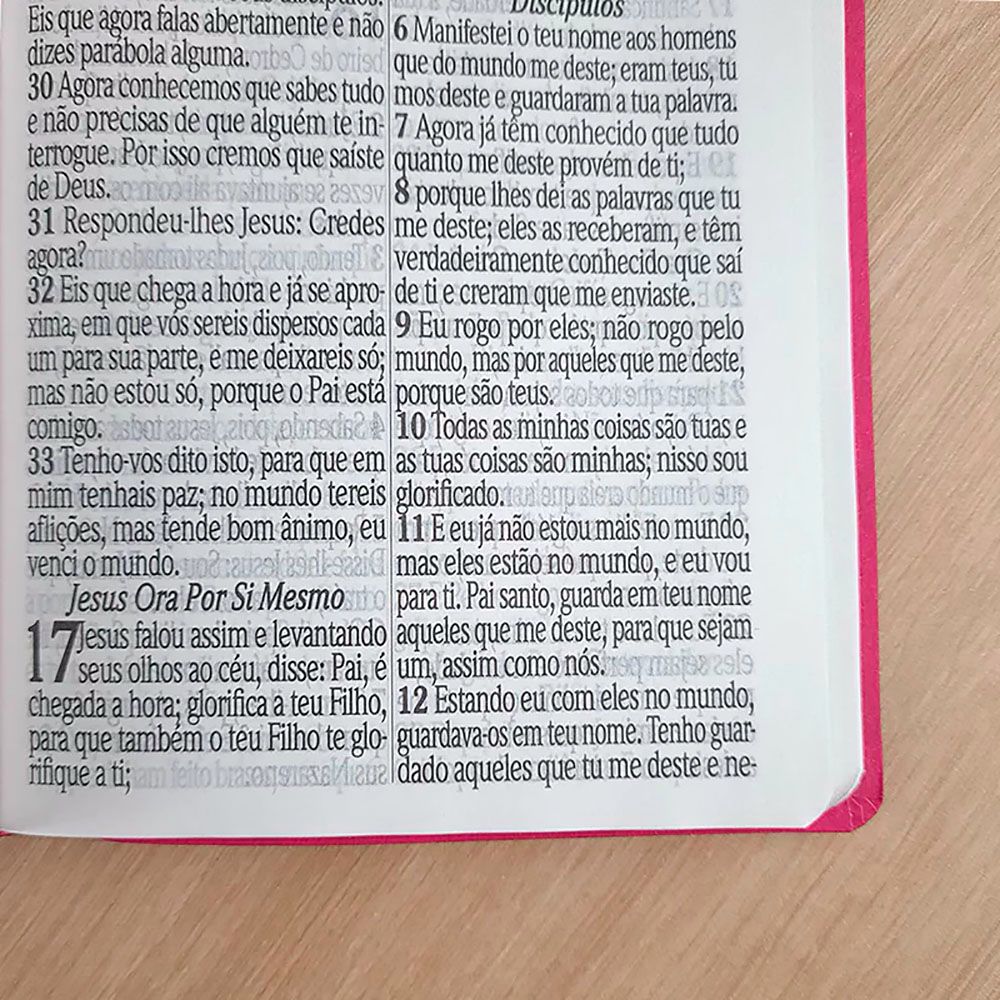 Bíblia Sagrada com Harpa Avivada e Corinhos | ARC | Letra Jumbo | Capa Semiflexível Pink