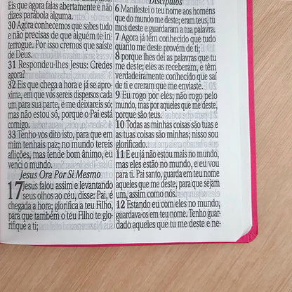 Bíblia Sagrada com Harpa Avivada e Corinhos | ARC | Letra Jumbo | Capa Semiflexível Pink