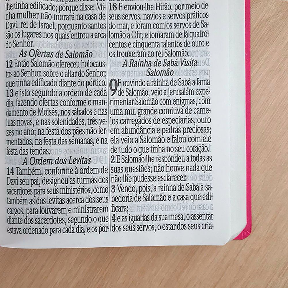 Bíblia Sagrada com Harpa Avivada e Corinhos | ARC | Letra Jumbo | Capa Semiflexível Pink