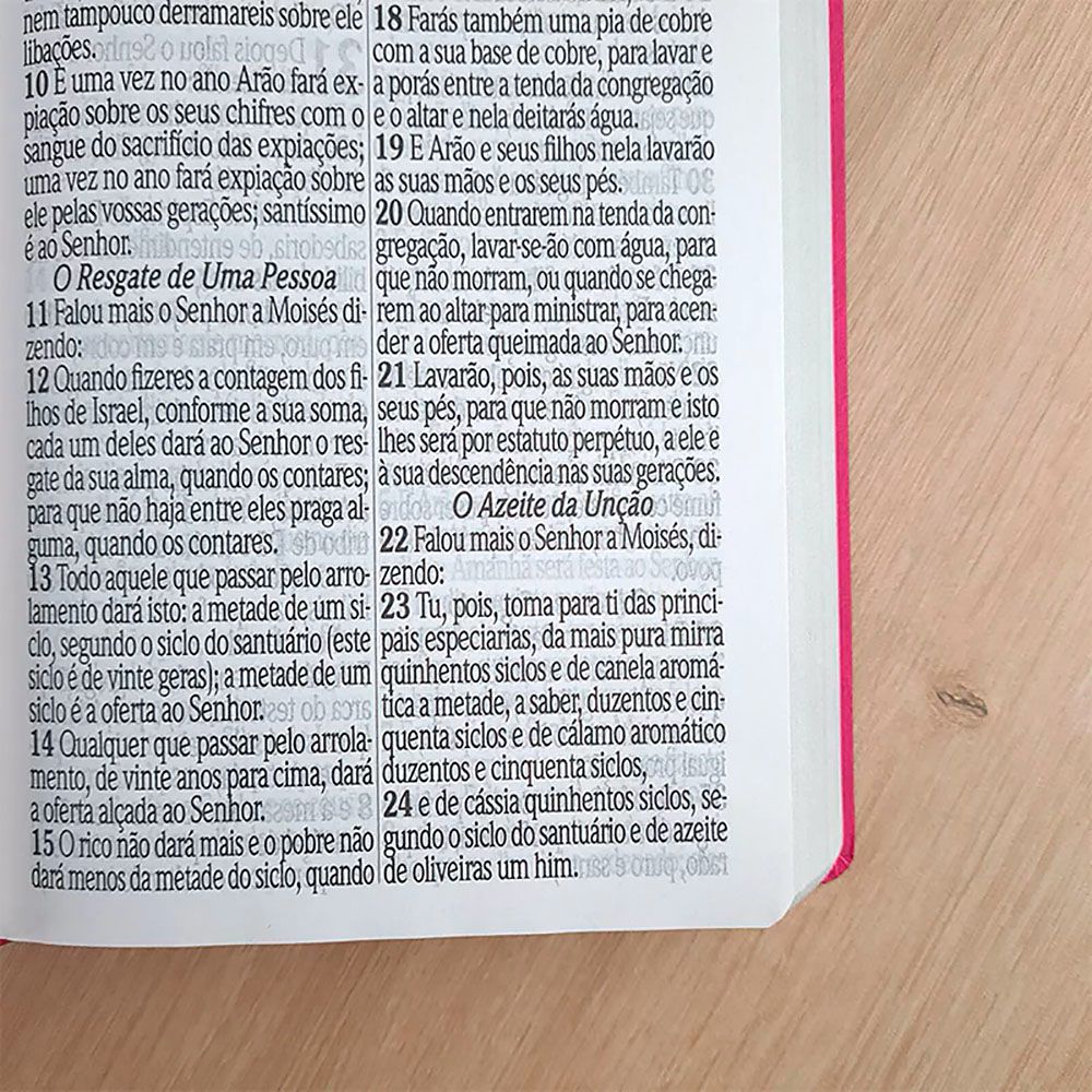 Bíblia Sagrada com Harpa Avivada e Corinhos | ARC | Letra Jumbo | Capa Semiflexível Pink