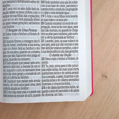 Bíblia Sagrada com Harpa Avivada e Corinhos | ARC | Letra Jumbo | Capa Semiflexível Pink