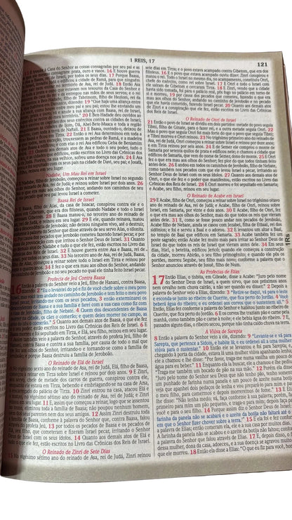 BÍBLIA SAGRADA BRUSH E FOLHAS | NVA | CAPA BROCHURA