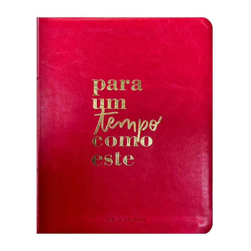 BIBLIA PARA UM TEMPO COMO ESTE - VIVIANE MARTINELLO