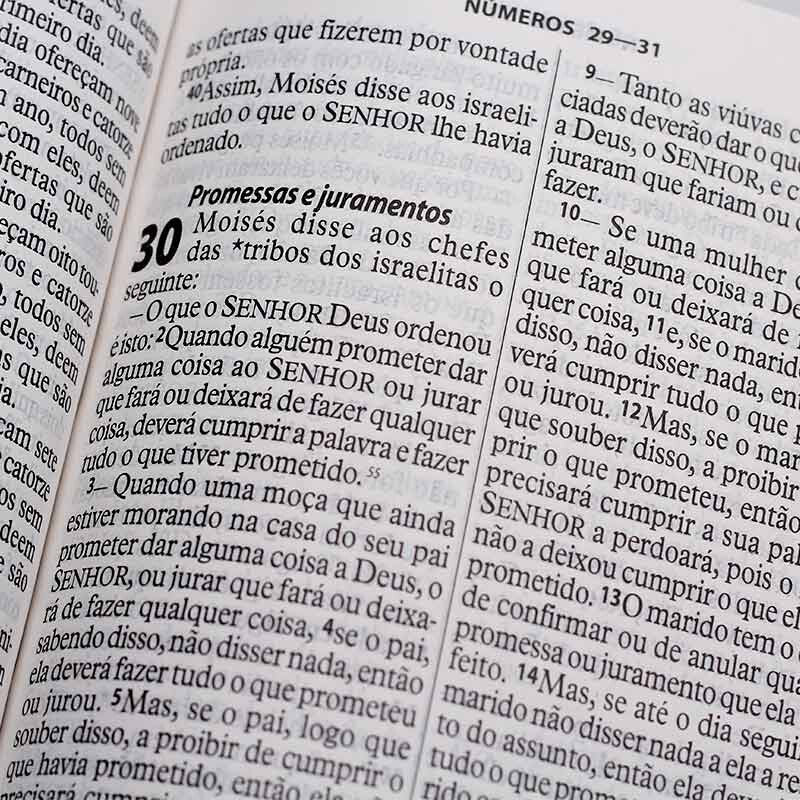 BÍBLIA SAGRADA NTLH | LETRA GIGANTE | LUXO ROSA CLARO | ÍNDICE