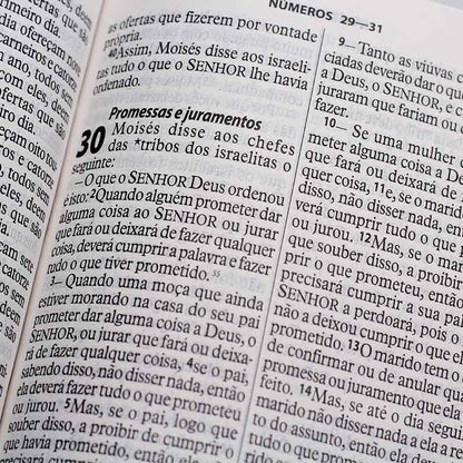 BÍBLIA SAGRADA NTLH | LETRA GIGANTE | LUXO ROSA CLARO | ÍNDICE