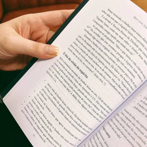 BEM VINDO ESPIRITO SANTO