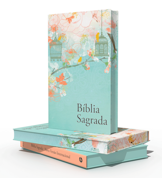 BIBLIA A VIDA E BELA NVI