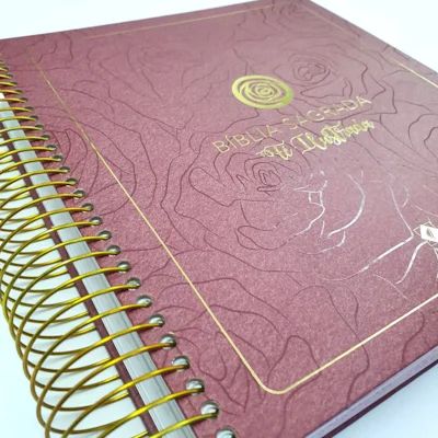 BÍBLIA BUQUE FÉ ILUSTRADA NVT