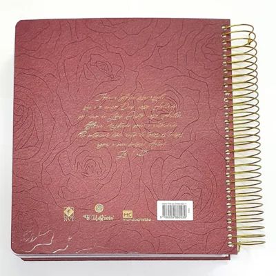 BÍBLIA BUQUE FÉ ILUSTRADA NVT