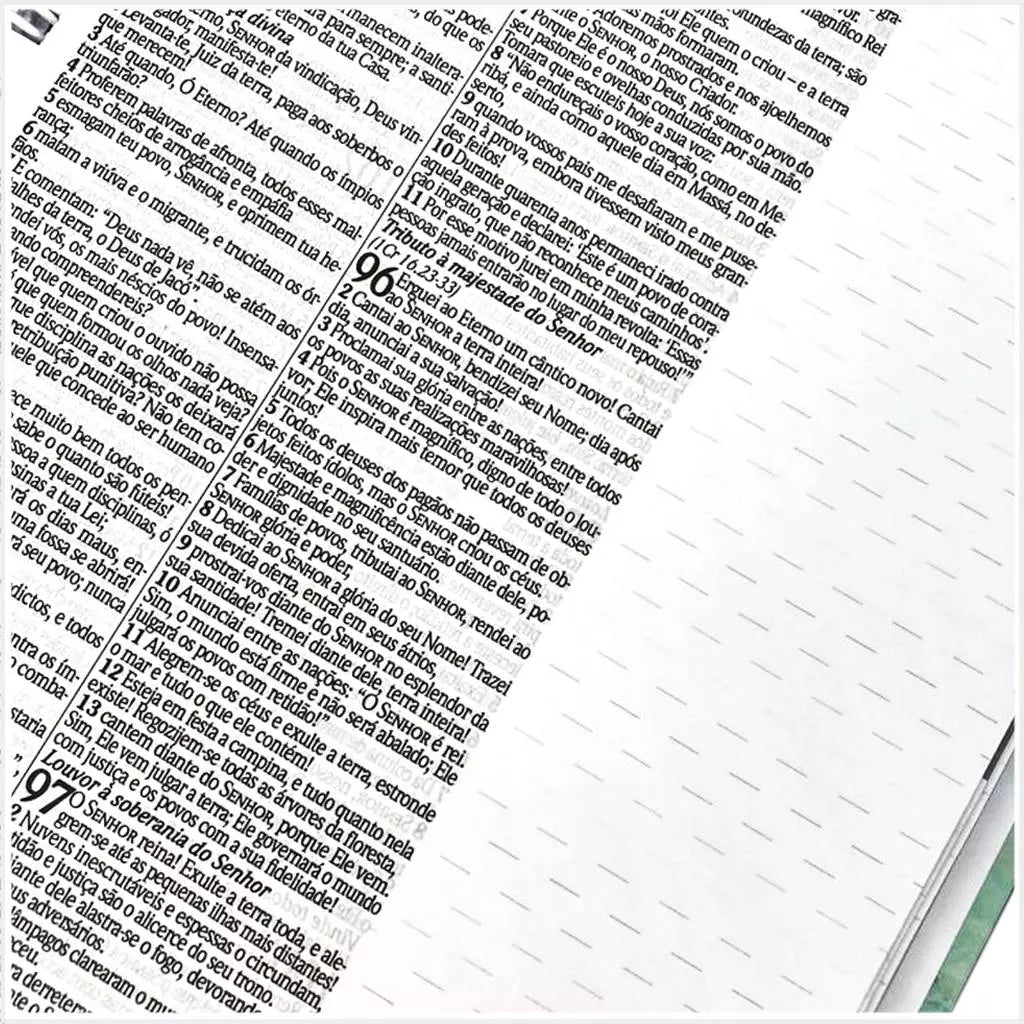 BIBLIA KING JAMES ATUALIZADA ANOTE BLUE