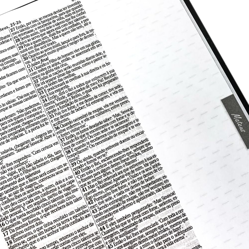 BIBLÍA ANOTE KING JAMES LEÃO REI DOS REIS