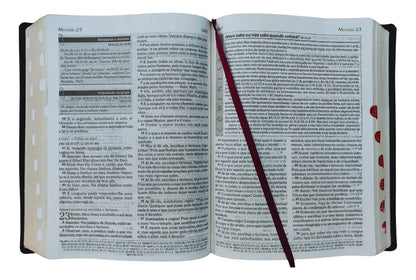 BIBLIA COM COMENTÁRIOS DE ANTONIO GILBERTO - ARC