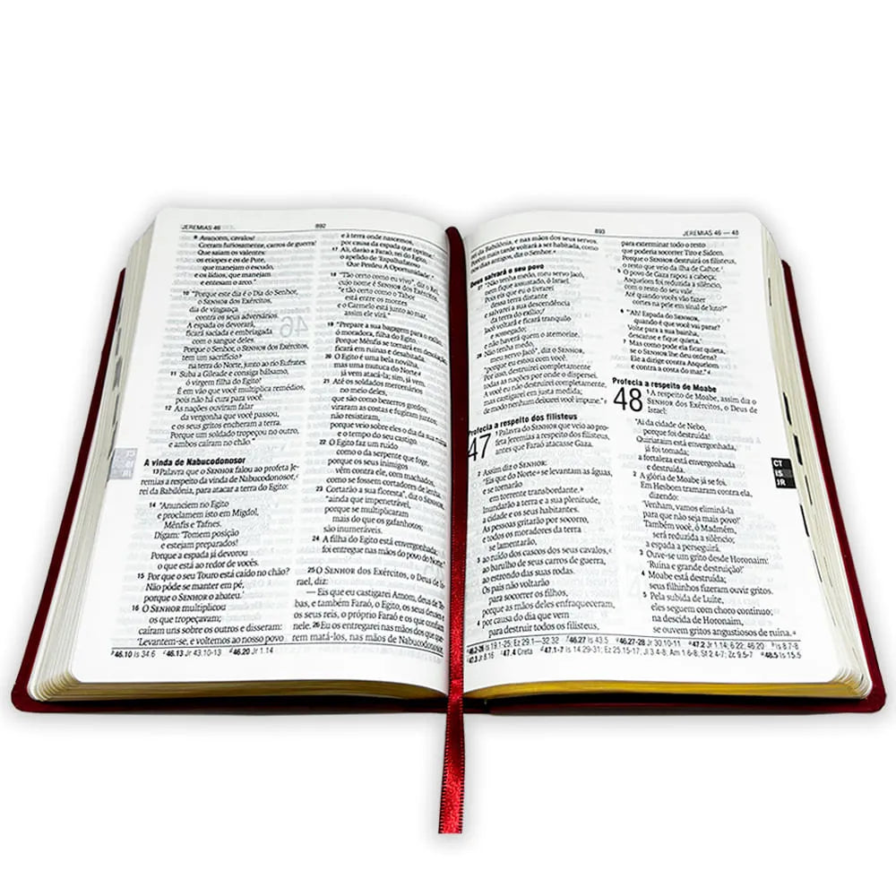 BÍBLIA SAGRADA NAA COM HARPA CRISTÃ LUXO VINHO