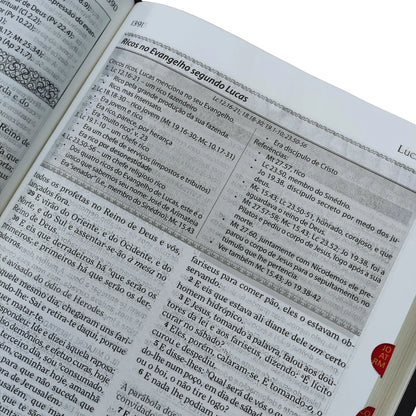 BIBLIA COM COMENTÁRIOS DE ANTONIO GILBERTO - ARC