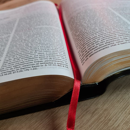 BÍBLIA DE ESTUDO PENTECOSTAL | EDIÇÃO GLOBAL |ARC | LETRA GRANDE| CAPA DE LUXO PRETA
