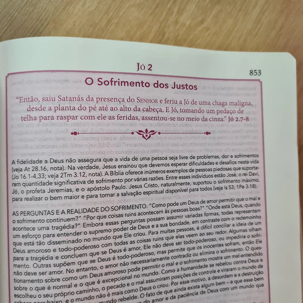BÍBLIA DE ESTUDO PENTECOSTAL | EDIÇÃO GLOBAL |ARC | LETRA GRANDE| CAPA DE LUXO PRETA