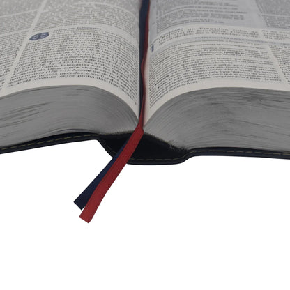 BÍBLIA DE ESTUDO GENEBRA- 3ª EDIÇÃO REVISADA LETRA GRANDE PRETA