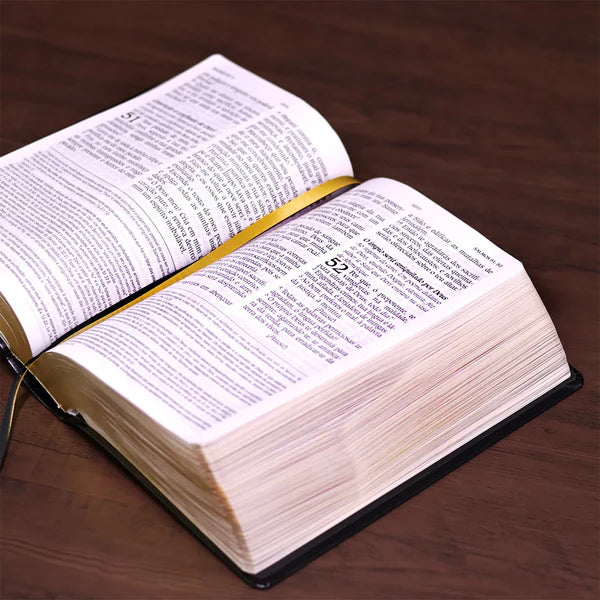 BÍBLIA KING JAMES ATUALIZADA - CAPA LUXO PRETA