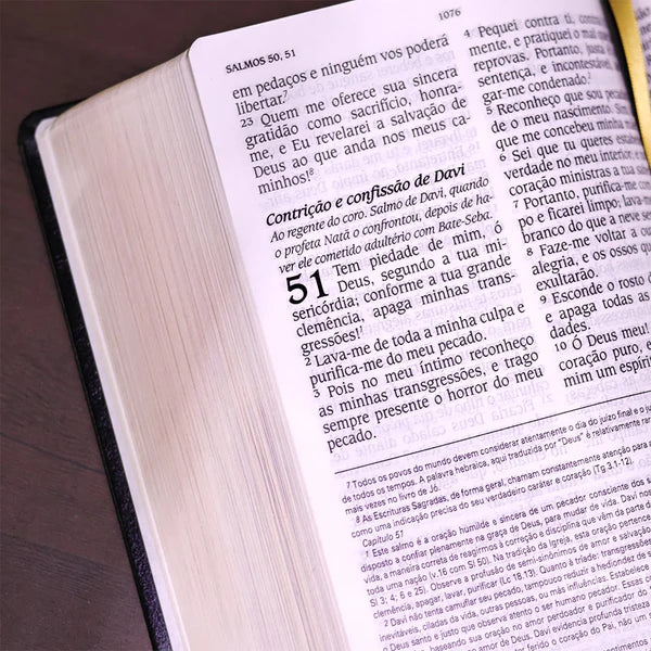 BÍBLIA KING JAMES ATUALIZADA - CAPA LUXO PRETA