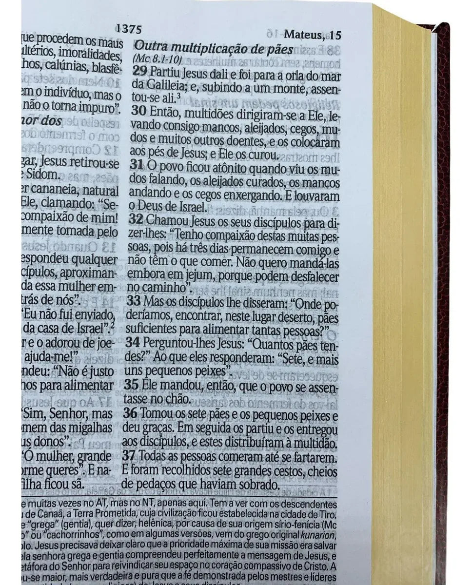 BÍBLIA DE ESTUDO KING JAMES HIPERGIGANTE FULL COLOR CAPA DURA