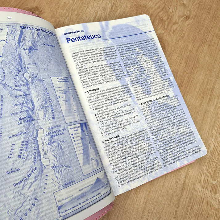 BÍBLIA DE ESTUDO NTLH CAPA LUXO ROSA NOBRE (LETRA NORMAL)