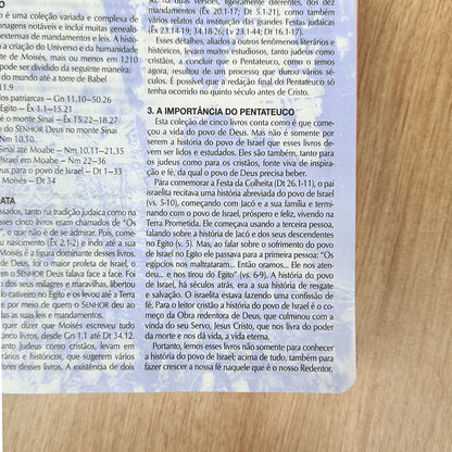 BÍBLIA DE ESTUDO NTLH CAPA LUXO ROSA NOBRE (LETRA NORMAL)