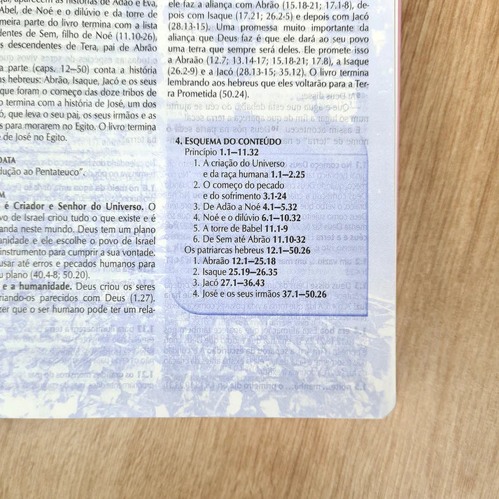 BÍBLIA DE ESTUDO NTLH CAPA LUXO ROSA NOBRE (LETRA NORMAL)