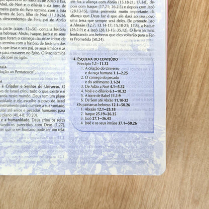 BÍBLIA DE ESTUDO NTLH CAPA LUXO ROSA NOBRE (LETRA NORMAL)