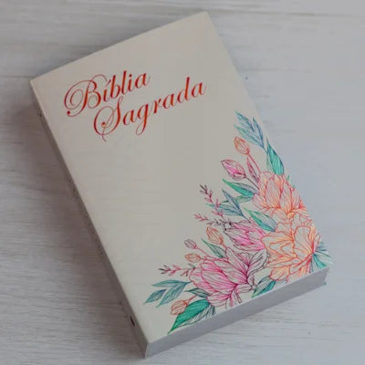 BIBLIA FORTE E CORAJOSA