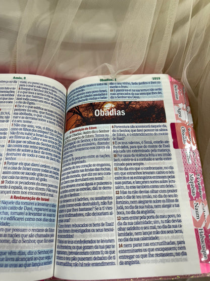 BIBLIA GLITER LEAO DEUS PAI COM ABAS COLADAS
