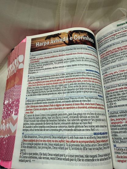 BIBLIA GLITER LEAO DEUS PAI COM ABAS COLADAS
