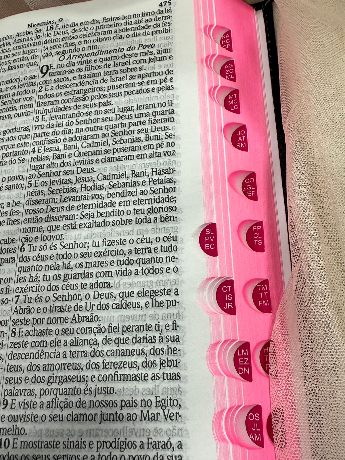 BIBLIA LEAO COROADO DE FLORES