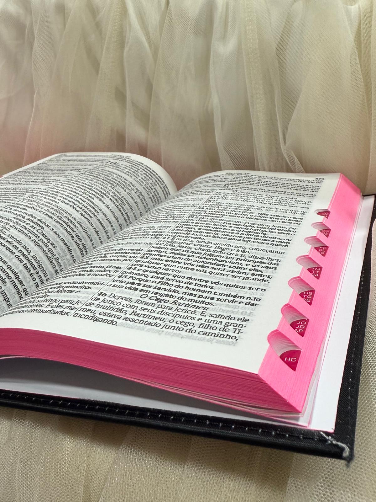 BIBLIA LEAO COROADO DE FLORES