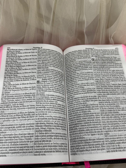 BIBLIA LEAO COROADO DE FLORES
