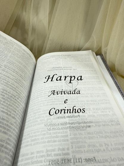 BIBLIA LEAO ELE VIVE