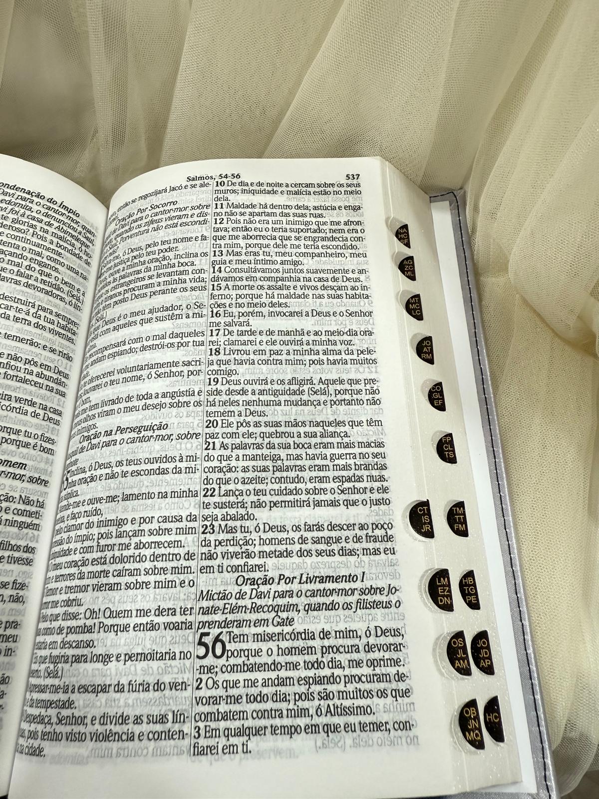 BIBLIA LEAO ELE VIVE