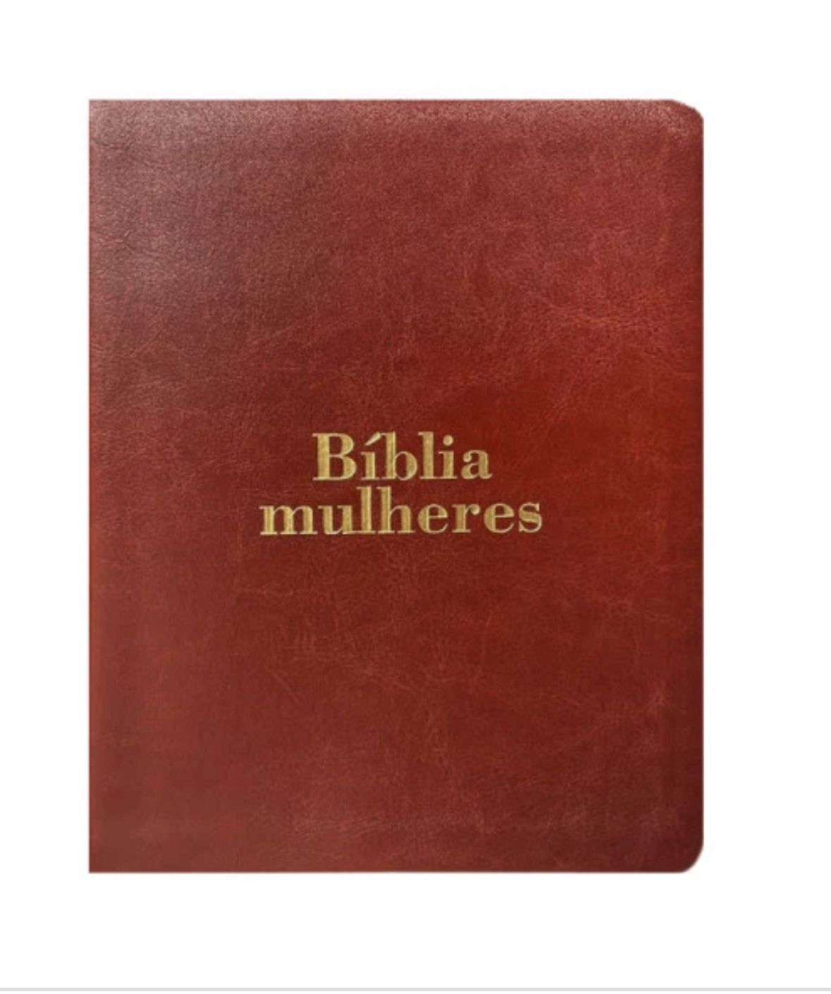 BIBLIA DA MULHER  LUXO BASICA - VIVIANE MARTINELLO