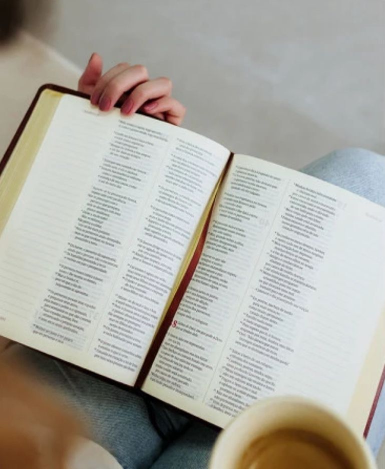 BIBLIA VIVIANE MARTINELO VERDE MUSGO