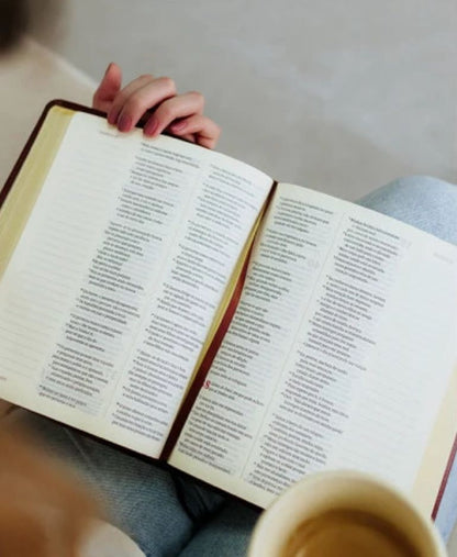 BIBLIA VIVIANE MARTINELO VERDE MUSGO