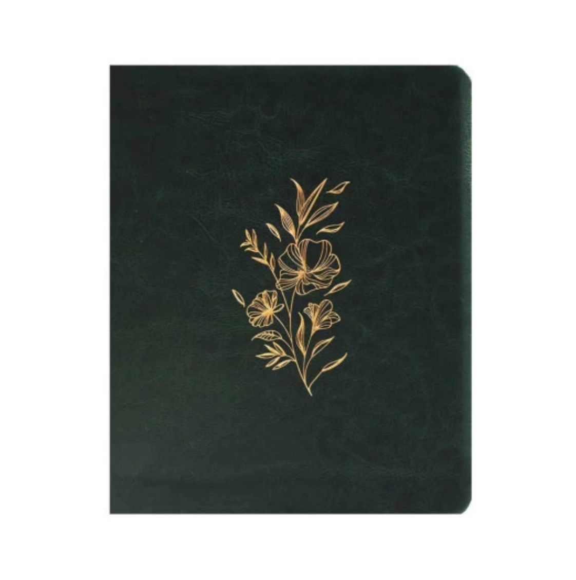 BIBLIA VIVIANE MARTINELO VERDE MUSGO