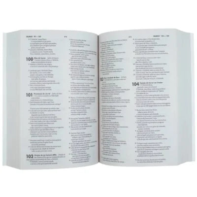 BIBLIA NTLH MONTANHA