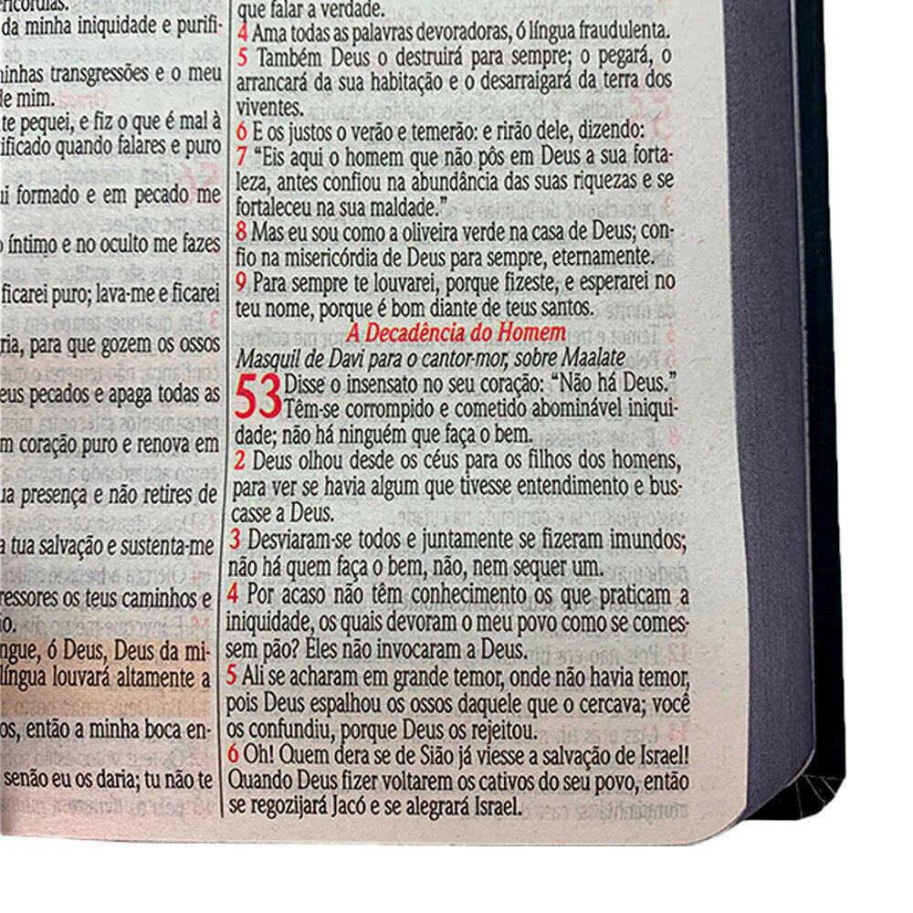BIBLIA NVA ELE E O REIS DOS REIS