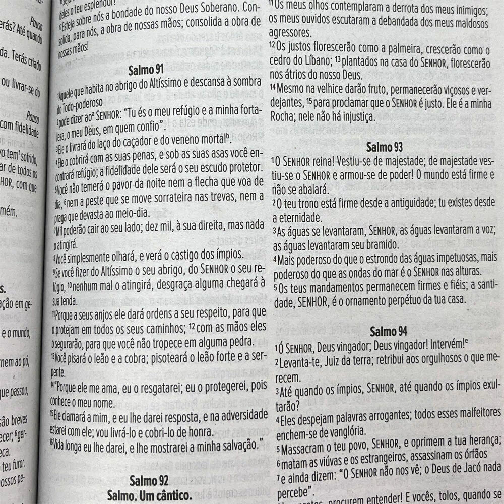 BIBLIA NVI LEAO REI DOS REIS