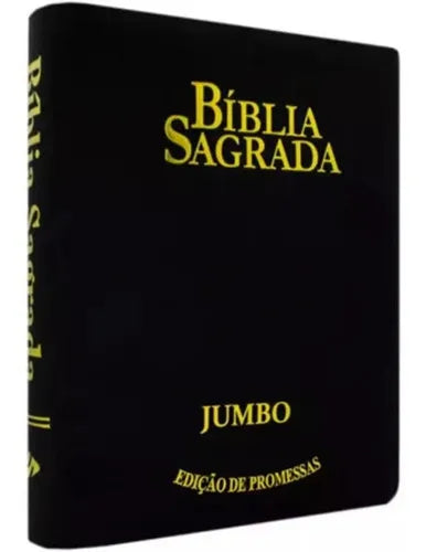 BÍBLIA SAGRADA RC LETRA JUMBO COM FECHO