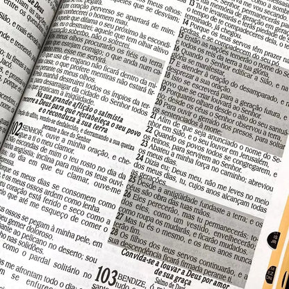 BÍBLIA SAGRADA RC LETRA JUMBO COM FECHO