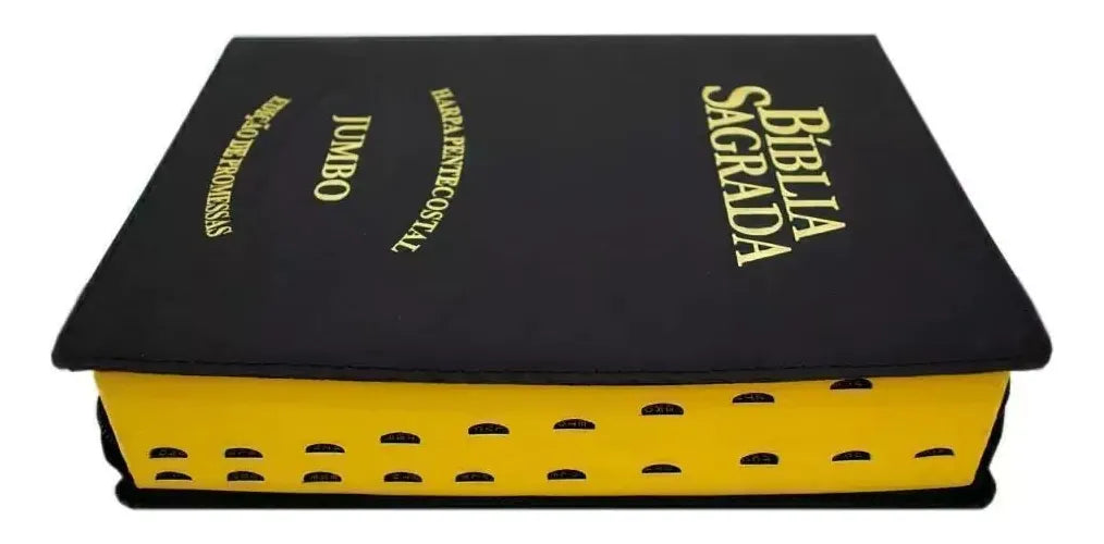 BÍBLIA SAGRADA RC LETRA JUMBO COM FECHO