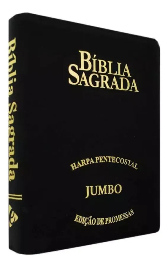 BÍBLIA SAGRADA RC LETRA JUMBO COM FECHO